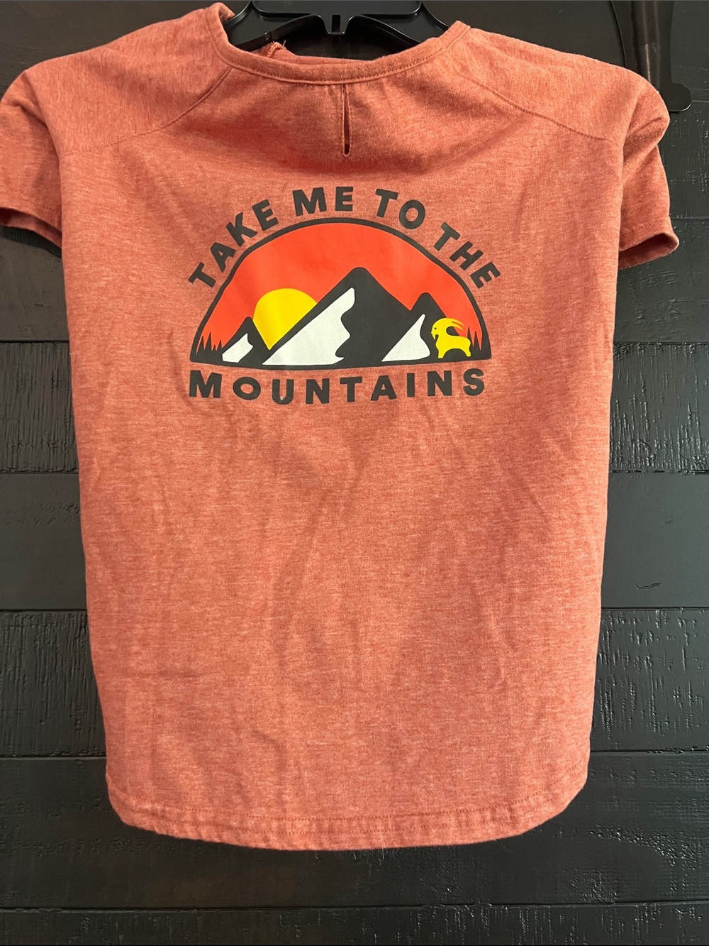 Mountain Graphic Dog Tee in Rust Red